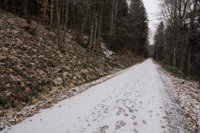 Gemütlicher Weg